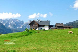 高處的風(fēng)景文案？ 高處風(fēng)景好的句子？